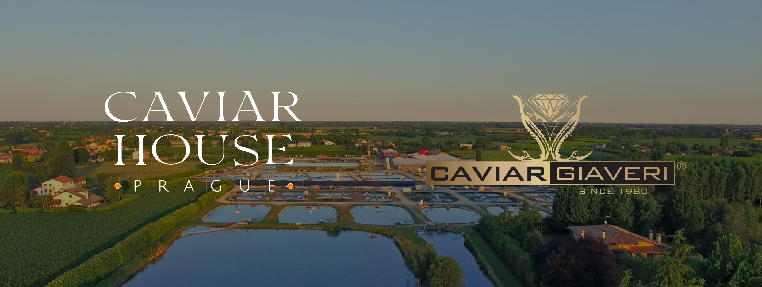 kaviár giaveri farm